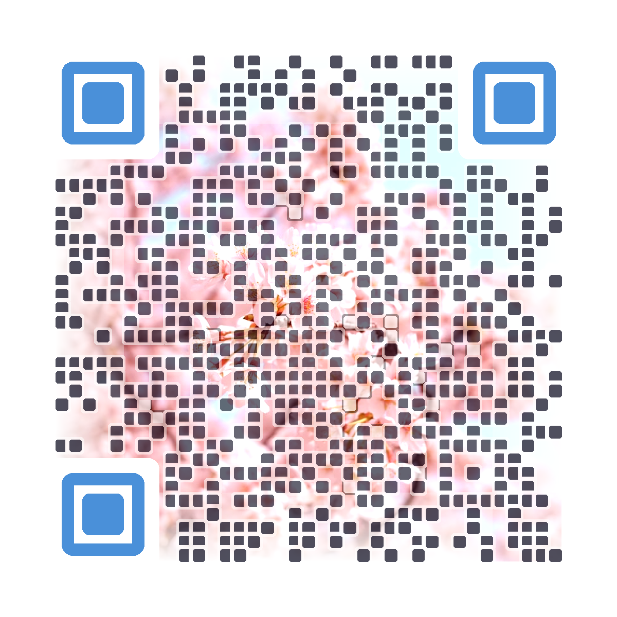 Image Overlay QR Code